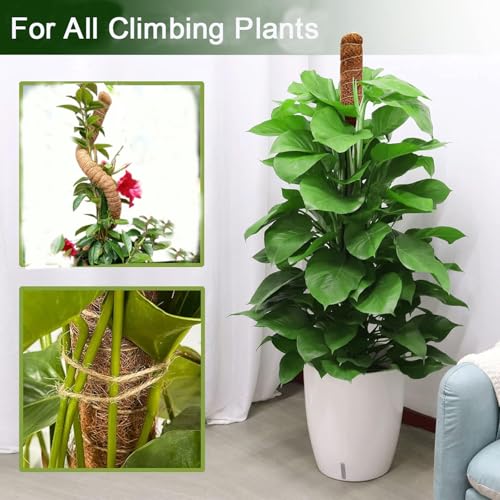 Moss Pole, 31.5" Bendable Moss Pole for Plants Monstera, Tall Moss Poles for Climbing Plants Indoor DIY, Coir Plant Pole Sticks Support Stakes for Potted Plants, Pothos, Philodendron,2 Pack