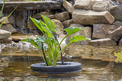 PondH2o 10" Round Floating Aquatic Water Garden Pond Planter Baskets, 2 Pack, Floatable Aquatic Water Garden Pond Plant Flower Islands for Ponds and Water Features | Value Multi-Pack