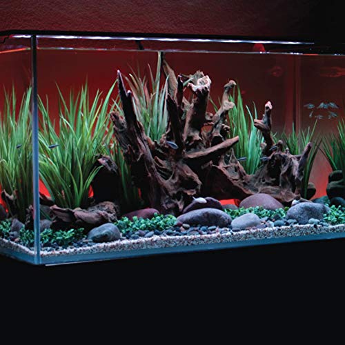 CURRENT USA Serene Add-on Accessory LED Background Light Kit | Includes Frosted Background Glass Film and RGB LED Light Strip | Fits Aquariums 48"-60" (Requires Serene Controller)