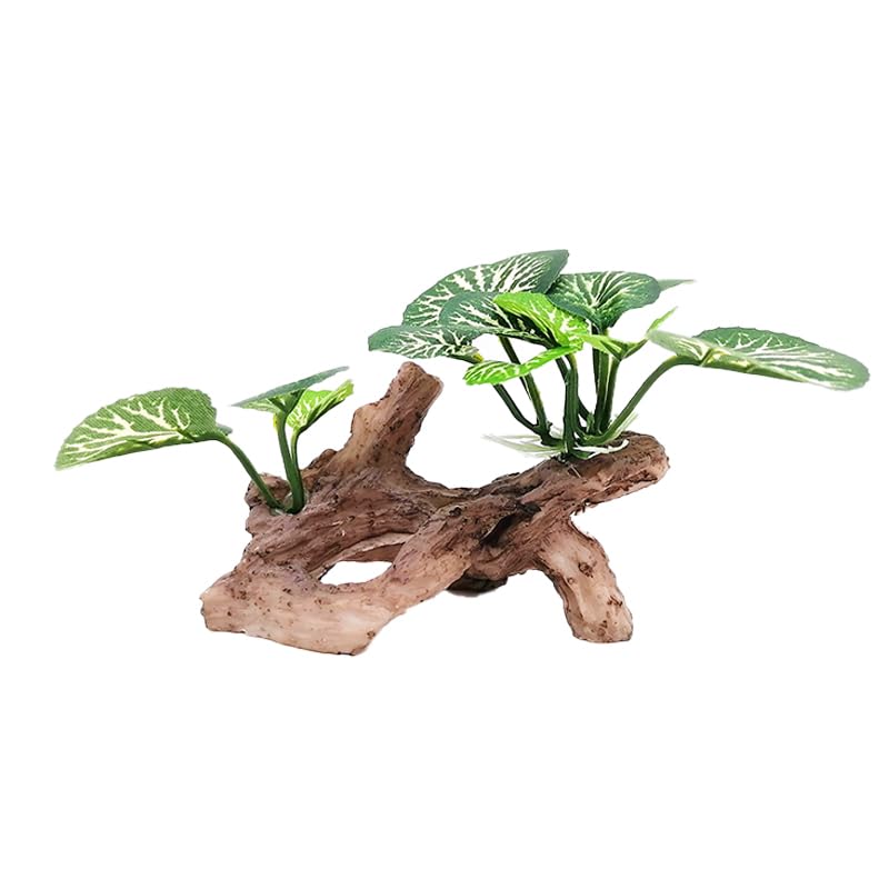 Aquarium Decor Fish Tank Accessories Betta Fish African Dwarf Frog Tank Accessories