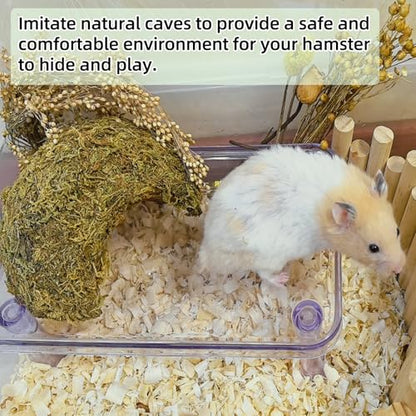 2Pcs Hamster Hideout, Hamster House, Natural Mossy Coconut Hut, Pet Hiding House, Small Animal Cage Accessories for Mouse Mice Rat Guinea Pigs Reptiles - size: 2 PCS