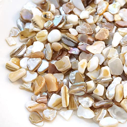 Yew & Tulip Natural Crushed Shells Chips, 32 oz (2 lb) Irregular Mother of Pearl Mosaic Fragments for Crafts, Home Décor, Vase Filler, Wedding, Fish Tank, Wedding, DIY etc. (32 oz (2 lb), Warm)