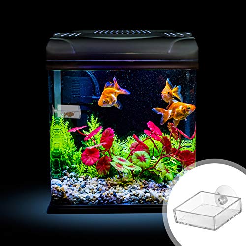 balacoo Aquarium Feeding Plate with Suction Cup 2.55 Inch Square Transparent Fish Tank Feeder Bowl Adjustable Height Shrimp Feeder for Freshwater Fish Easy to Clean 4 Pack