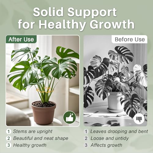 Monstera Plant Support for Indoor Plants Metal Plant Stem Holder Plant Support Ring for Climbing Plants Stem Stabilizer (6.29 * 7.08inch/ 5) - size: 6.3*7.1/5