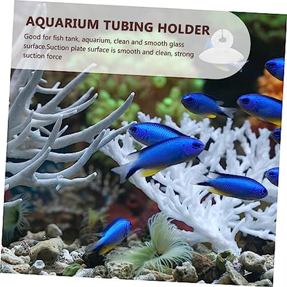Ipetboom 100 Pcs Aquarium Fixed Suction Round Threads Cups Conditioner Lifter Dosing Pump Pump Aquarium Plumbing Fittings Aquarium Diffuser Cleaner Fish Tank Hose Air Transparent