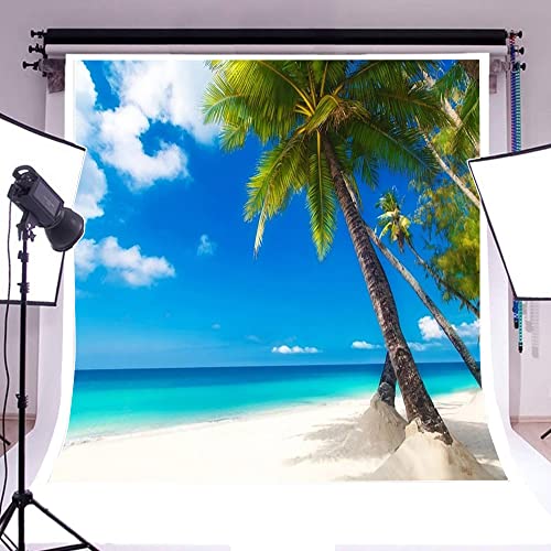 10x10ft Sea Beach Photography Background Hawaiian Luau Seaside Palmtree Backdrop Vacation Trip Blue Sky Summer Holiday Boy Girl Lovers Adult Portrait Wedding Photo Studio Props Vinyl Wallpaper - size: 10x10ft