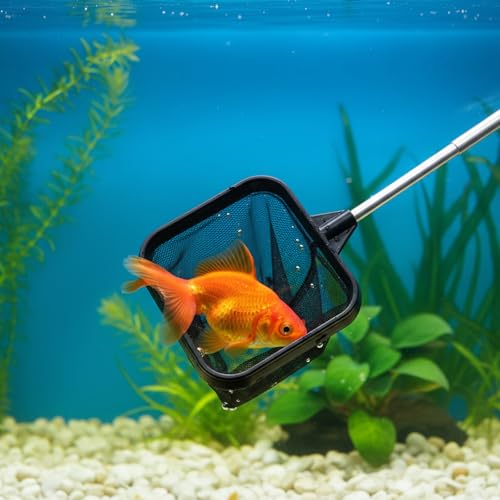 2pcs Small Fish Tank Net, Small Aquarium Net, Square Floating Fishing Nets 4.76-14.6in Retractable Handle Handle for Fish Tank, Aquarium, Stream (Black)