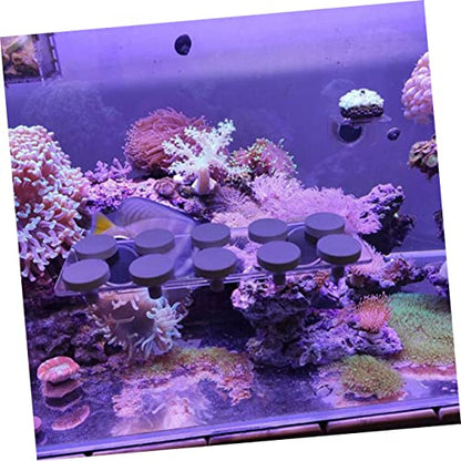 12pcs Stable Lightweight Aquarium Rack Base Bracket for Tank Stand Decor