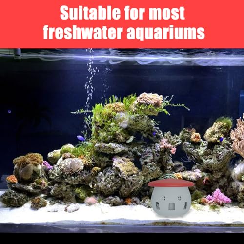 Aquarium Safe Snail Catcher - Reusable Snail Containment Tool for Fish Tanks