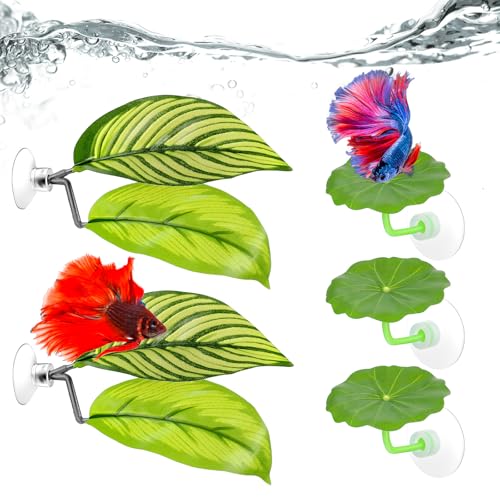 5 Pcs Fish Tank Accessories Aquarium Shrimp Hideout Betta Toys Betta Leaf Hammock Toys Set Plastic Aquarium Plants that Won’T Damage Fishtail Hideout with Spare Suction Cup for Smallfish