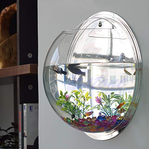 Wall Fish Bowl Wall Fish Bubble Hanging Clear Acrylic Betta Fish for Tank Wall Mounted Aquarium Wall Plant Planter Aquariums Tanks