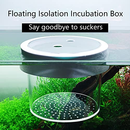 Breeding for Tank for Aquarium Fry Isolation Box Small Hatchery Boxes for Marine Fish Transparent Floating Desi Aquarium Breeder Tank Breeding for Fish Incubator Isolation Box Net