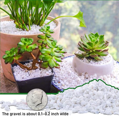 45lb White Cactus Pea Gravel Rocks,1/4 Inch Pebbles for Indoor Plants, Natural Succulent Rock and River Rocks Decorative for Aquariums, Vases, Outdoor Gardening, Top Dressing for Potted Plants