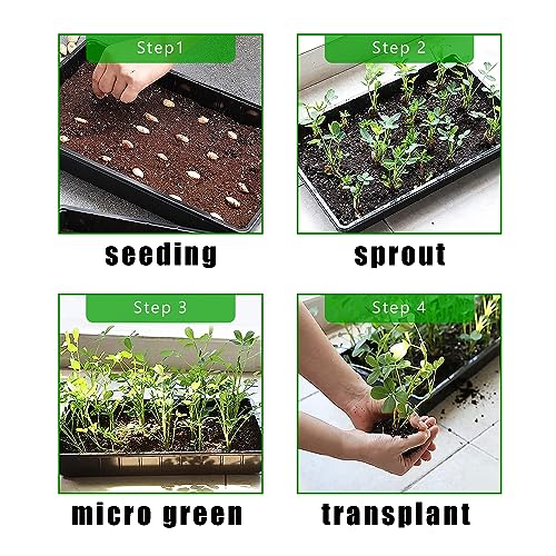 RooTrimmer 10 Pack 1020 Trays, Extra Thick Heavy Duty Seed Starting Trays - No Holes, No Leak, Reusable Propagation Flats for Microgreens, Seedlings, Plant Germination, Fodder and Transplant - size: 1020 - 10 Pack Without Holes