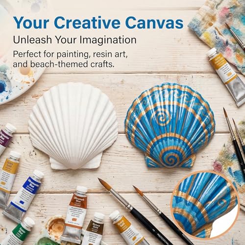 Natural White Scallop Sea Shells for Crafts, Beach Home Decor, Painting, Fish Tank, Wedding Decorations, Large 4.5 Inch, 4 Pack