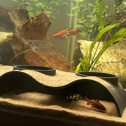 Aquarium Underground Tunnel Cave Natural Curve with Holes for Viewing, Fish Tank Decoration Hideout, for Cory Catfish, Shrimp, Loach and Pleco, Black
