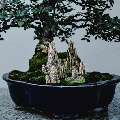 Kisangel 8Pcs Mini Resin Rockery Ornaments 1.49X0.62X0.62 Inch Aquarium Decor Fish Tank Miniature Landscape Accessories for Terrarium Bonsai Garden Micro Landscape