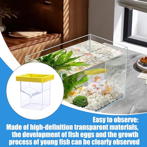 Fish Breeder Box, Floating Isolation Tank, Suction Cup Hatchery, Transparent Aquarium Incubator, 3.39 Inches Safe Breeding Container for Baby Shrimp and Guppy Fish