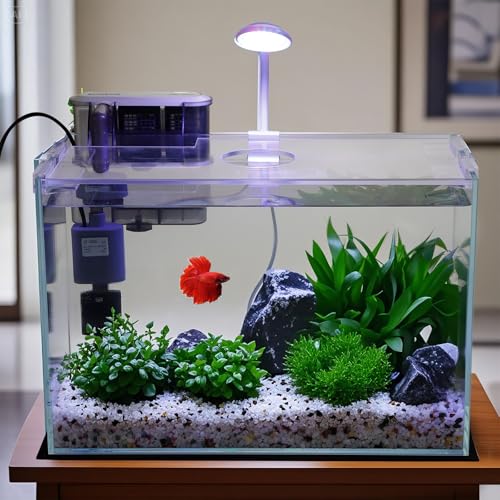 5 Gallon Glass Small Fish Tank with Filter Light and Lid, Betta Aquarium Starter Kits - size: 5 Gallon