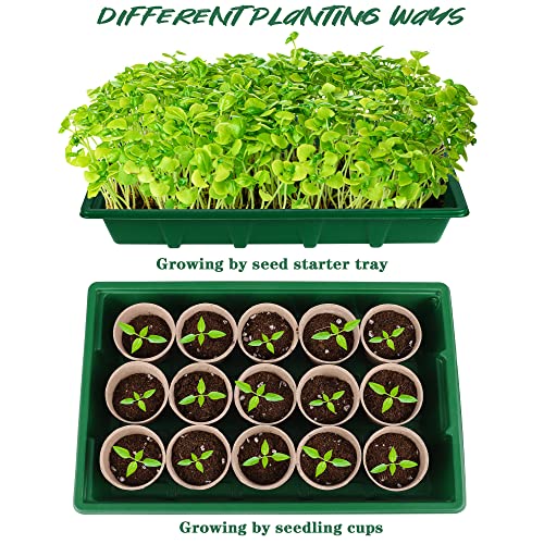 4 Pack Seed Starter Tray Set Plants Growing Trays Peat Pots for Seedlings with Seed Starter Pots, Plastic Germination Tray, Plant Labels, Tool for Flower Vegetable Planting, Green