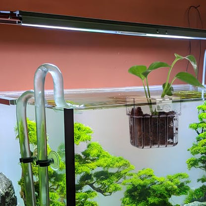 NOLITOY 4pcs Aquarium Holders Transparent Aquatic Cups for Fish Tanks Hanging Planter for Plants Easy Installation Compatibility Aquarium Accessories