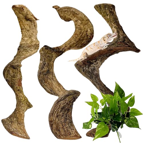 3PCS Natural Reptile Climbing Branches Decor,0.8-1.2" Thick Snake Climbing Forest Wood with Plant Leaf Decor,Lizard Forest Branch,Geckos Tank Tree Trunk Accessories for Bearded Dragons - size: 3PCS|S:0.75-1.25"T,13"H