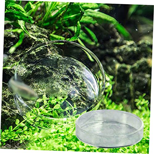 Kisangel 1pc Glass Shrimp Food Feeder Bowl Round Dish for Fish and Reptiles Crystal Glass Small and Elegant Aquarium Supply