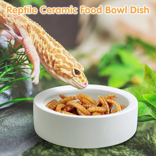 4 Pack Reptile Food Bowl, Mini Ceramic Water Feeder Bowl, Reptile Worm Feeding Dish for Lizard Turtle Bearded Dragon Anoles Crested Gecko Hermit Crab Leopard Gecko Chameleon Corn Snake - size: 4 Pcs 2.7 '' x 0.8 ''