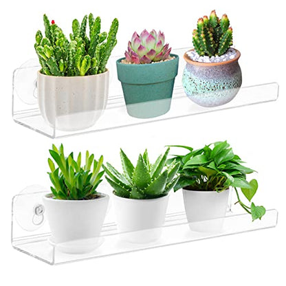 2 Pack 12 Inch Acrylic Window Boxes Plant Shelves, with Suction Cup Window Sill Extender, for Indoor/Outdoor Succulents, Micro Greens, Seed Starter Pots, Herb Planters