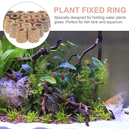 Abaodam 20pcs Water Plant Fixed Ring Fish Tank Live Plants Decor Ring for Fish Tanks Decorative