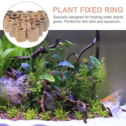 Abaodam 20pcs Water Plant Fixed Ring Fish Tank Live Plants Decor Ring for Fish Tanks Decorative
