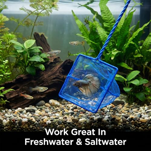 2 Pcs Fish Net for Fish Tank with 10 Inch Long Handle, Fine Mesh Aquarium Net Quick Catch Nylon Fishing Catch Nets