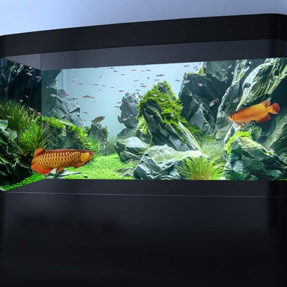 Marine Aquarium Background, Sea Rock Green Landscape Fish Tank Background, Nature Photo Terrarium Background 48X24IN with 8 EVA Double-Sided Tape