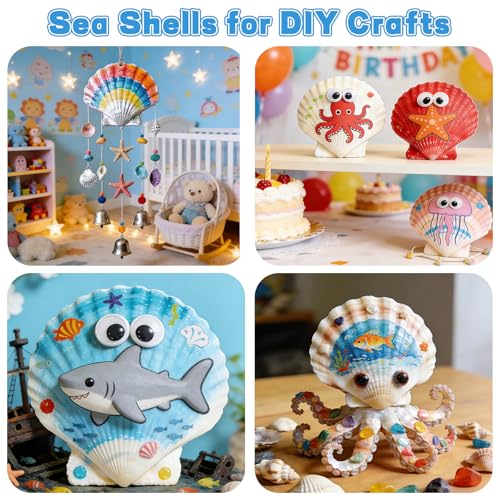 40pcs 4-5 Inch Large Scallop Shells for Crafts,Natural White Sea Shells for Hand Painting, DIY Home Decor, Family Crafting Projects, Decoupage & Gift Ideas