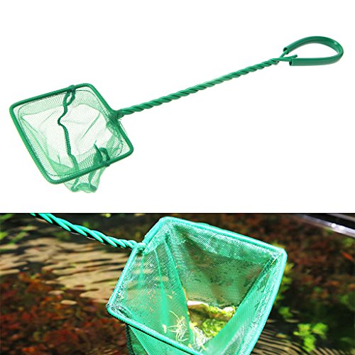 Fish Net 4" Fine Green Filter for Small Fish Tanks Catch Net with Comfortable