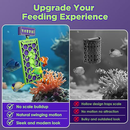Magnetic Seaweed Feeder, Swinging Motion Nori Feeder, Seaweed Clip for Tangs Angels Freshwater and Shrimp Tanks (Green & Purple) - color: GREEN & PURPLE