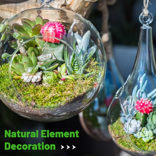 40'' x 6'' Green Dried Moss Roll, Preserved Moss Sheet for Crafts Table Decoration Fairy Wedding Party Woodland Garden Decor