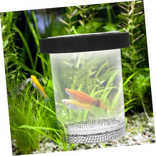 Ipetboom Box Pot Fish Breeding Cage Aquarium Hatchery Tank Hatchery Incubators Breeding Cage for Guppy Betta Fish Tank Floating Fish Tank Hatching Incubator Sink Small Fish