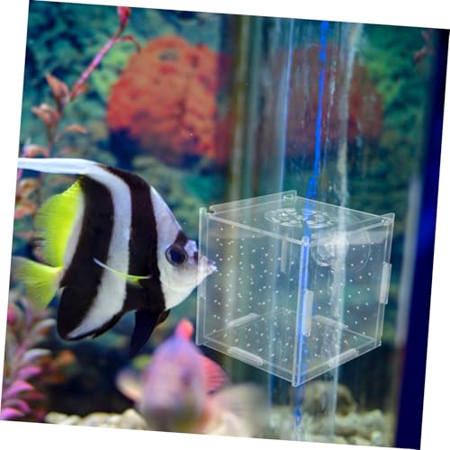 VANZACK Aquarium Fish Breeding Box Acrylic Isolation Tank for Fish and Shrimp Dual-Purpose Incubator with Cups Compact Design for Betta Acclimation and Separation