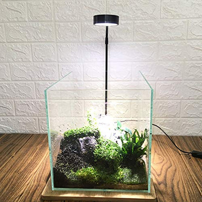 LED Aquarium Light 360 Degree Full Spectrum LED Light with Bamboo Board 10W Nano Fish Tank Light USB Powered Flat Nano Aquarium Light Bett a Fish Tank Light for Plant Growth - size: 10w l / 10.62x11.22inch
