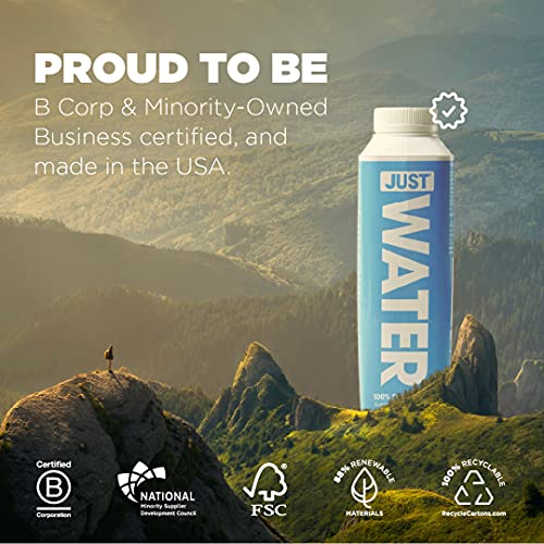 JUST Water - 100% Spring Water, Naturally Alkaline, 8.0 pH - Plant-Based, BPA Free, Sustainable and Fully Recyclable Boxed Water Bottle - Eco-Friendly - 11.2 Fl Oz (Pack of 24) - size: 11.2 Fl Oz (Pack of 24)