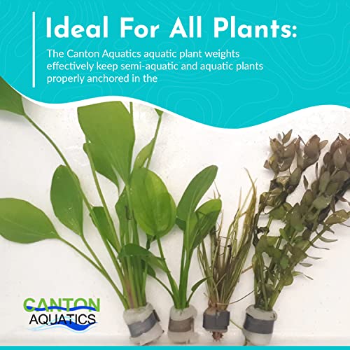 Anchor Lead Plant Holder Flexible Weight - Easy to Manipulate - Used for Submerge Plants in Aquariums or Ponds - 25 Piece Lead Strips - Grey