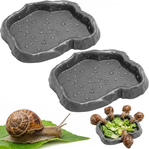 2 Pack Snail Food and Water Bowl, Pet Snail Feeder, Small Reptile Food Dish Bowl Calcium Dish for Land Snails Mini Lizard Gecko Bearded Dragon Chameleon and Hermit Crab (Cement Gray)