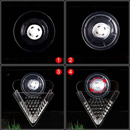 Cone Red Worm Feeder Acrylic V-Shape Shrimp Fish Tank Feeding Cup with Suction Cup