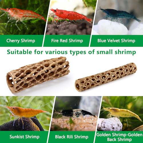 6“ Resin Cholla Wood Aquarium Décor Wood- Realistic Shrimp Hideout & Climbing Toy (6" L×2”Dia, 3pcs)