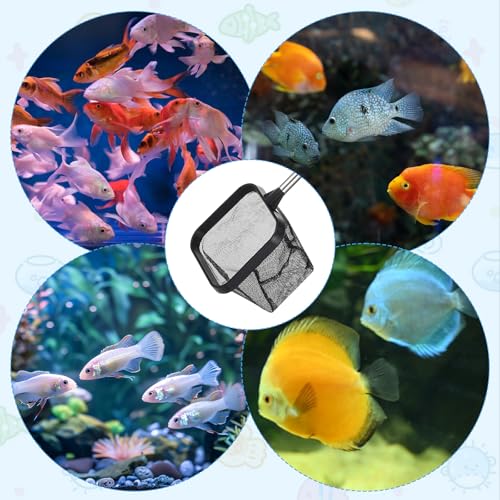 2pcs Small Fish Tank Net, Small Aquarium Net, Square Floating Fishing Nets 4.76-14.6in Retractable Handle Handle for Fish Tank, Aquarium, Stream (Black)