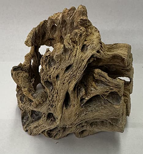 Natural Cholla Wood Chunk Air Plant Display Holders Individually Unique Decorative Stands Holder (Cholla Chunk)