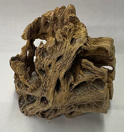 Natural Cholla Wood Chunk Air Plant Display Holders Individually Unique Decorative Stands Holder (Cholla Chunk)
