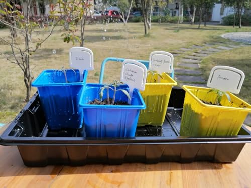 Gardzen 10 Pack Seed Trays, Reusable Plant Grow Trays, Ideal for Seed Starting, Microgreens, Indoor Gardening, and Greenhouse Nurseries - No Drain Holes, 14.5"x9" - size: 14.5L x 9W x 1.8H