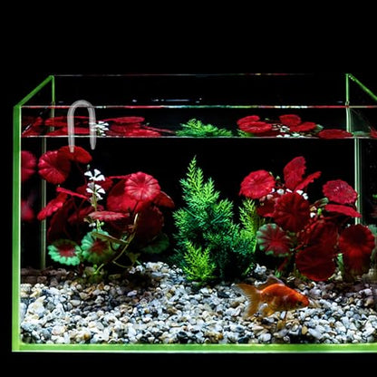 GALPADA U-Shaped Aquarium Diffuser Glass Tube Easy to Install Connector for Fish Tank Carbon Dioxide Injection System Smooth Surface for Safe Handling